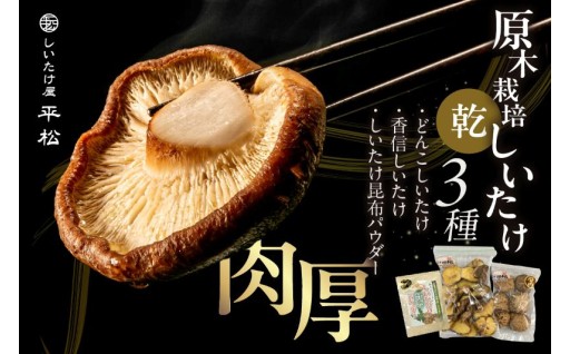 愛知県知多市産✨原木乾椎茸✨