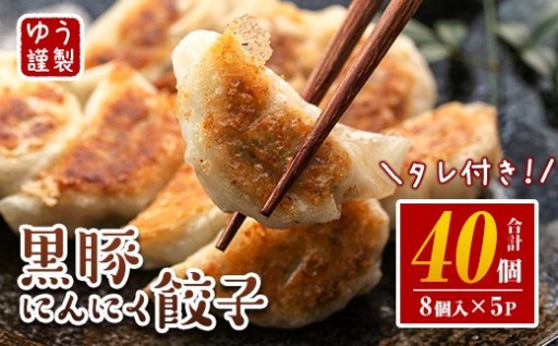 黒豚にんにく餃子(計40個・8個入り×5P)