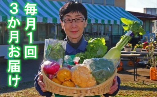 厳選「おおばん市場」旬の野菜詰合せ　3か月定期便