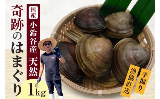 🌟奇跡のはまぐり🌟小鈴谷産天然はまぐり1kg
