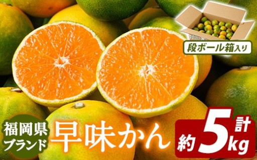 福岡県ブランドみかん 早味かん(計約5kg)