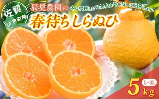辰見農園の春待ち 「しらぬひ」 5kg