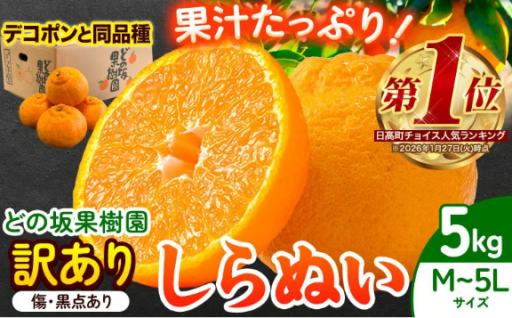 只今旬真っ盛り！どの坂果樹園直送 旬の味覚 不知火をお届け