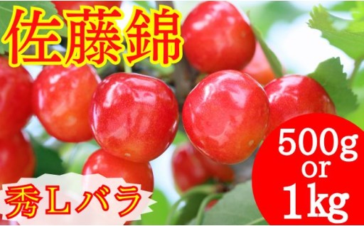 高級さくらんぼ佐藤錦選べるようになりました！