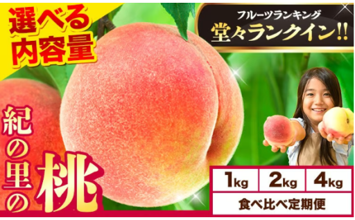 ４年連続１位！紀の里の桃 じゅわっと溢れる果汁 夏の味覚の先行予約