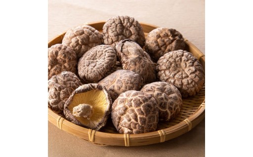 大分県 国東半島産 どんこ椎茸 (計240g・40g×6袋) 