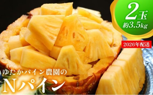 ゆたかパイン農園のNパイン　2玉（約3.5kg）