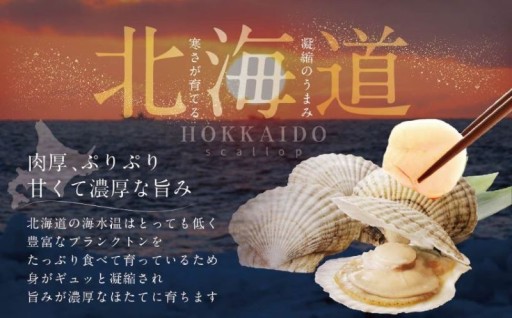 ＼海産物の宝庫／北海道産 ホタテ貝柱✨