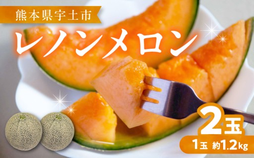 🟠🍈【先行予約】河野FARM　レノンメロン2玉(1玉：約1.2kg)_U143-0004🍈🟠