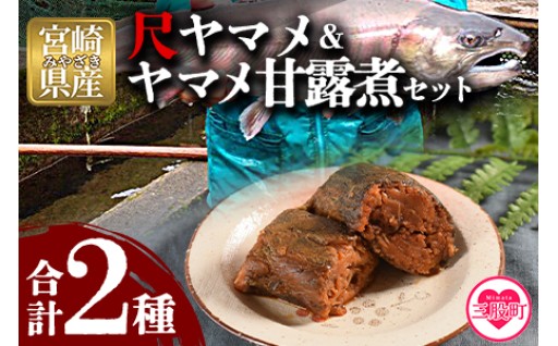 【テレビで紹介されました！】＜幻の尺ヤマメプレミアムとヤマメ甘露煮セット＞