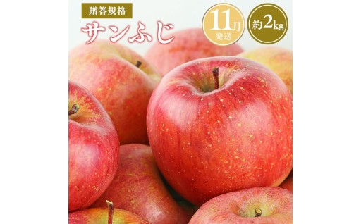【令和8年11月発送】贈答規格 サンふじ約2kg