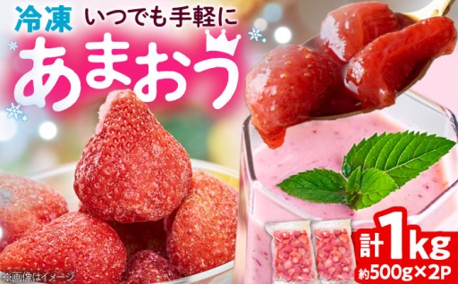 【旬の美味しさをぎゅっと！】冷凍あまおう🍓