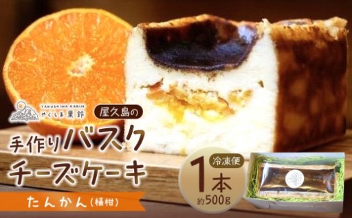 屋久島の手作りバスクチーズケーキ （たんかん）