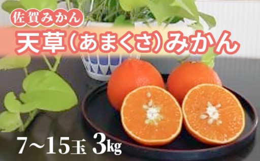 ＼新登場／天草みかん 7～15玉　3kg（化粧箱入り） 