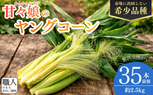 朝採れ甘々娘のヤングコーン