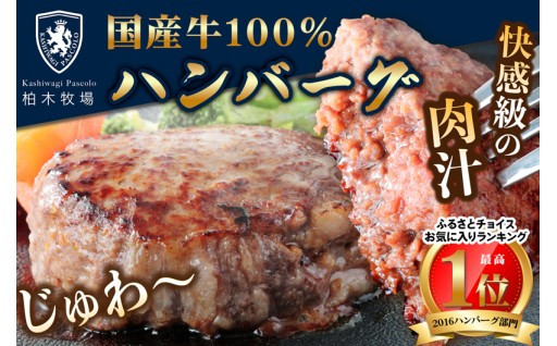柏木牧場特製 国産牛100%ハンバーグ