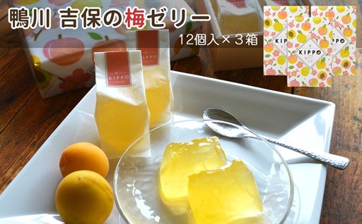 鴨川の南高梅で作った一口サイズのさっぱり梅ゼリー