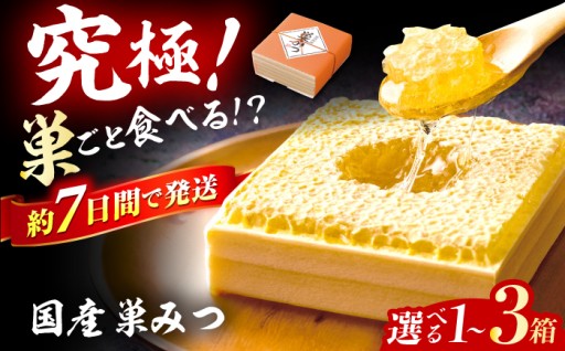 【究極の贅沢】巣ごと食べる！国産巣みつ