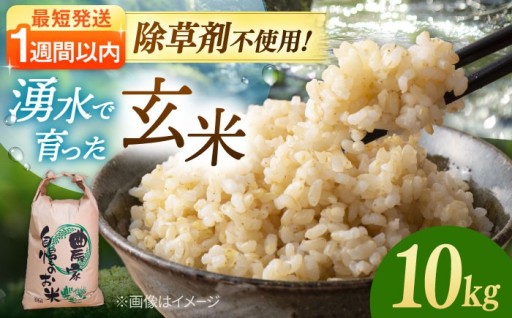 【スピード発送】除草剤不使用！玄米10kg