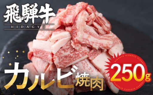 【訳あり 不揃い】飛騨牛 カルビ 焼肉用