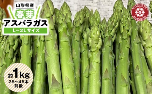 ＜令和8年産＞先行受付!春芽アスパラガス約1kg(L～2Lサイズ 25～45本前後)【1470202】