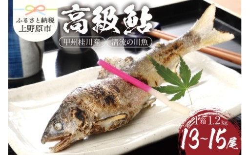 甲州桂川の高級鮎 鮎（1.2kg）13～15尾