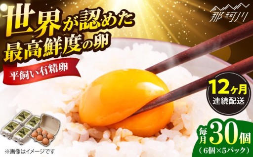 【全12回定期便】【最高品質！】 平飼い卵