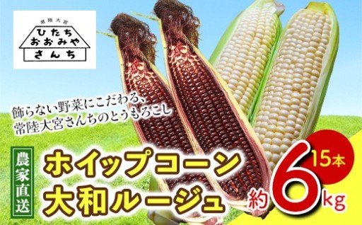 ＜先行予約受付中！2026年7月上旬以降順次発送予定＞ とうもろこし スイートコーン 赤白15本