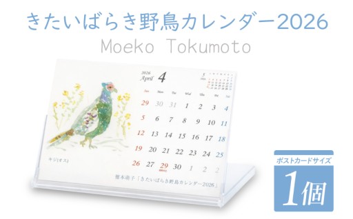 【数量限定】【徳本萌子】きたいばらき 野鳥カレンダー（2026年4月はじまり）(DK001)