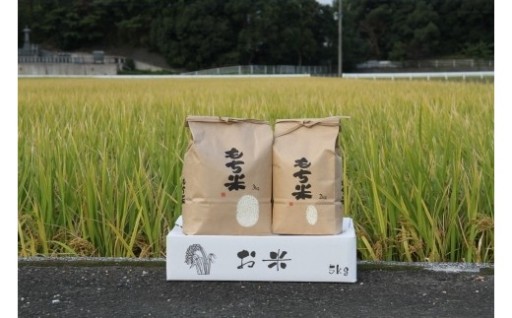 【数量限定】令和7年度産 もち米