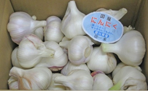 先行予約受付中！生にんにく（新物）約２kg