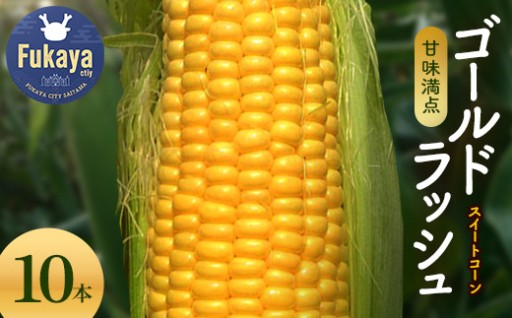 6・7月出荷 農家直送ゴールドラッシュ 10本