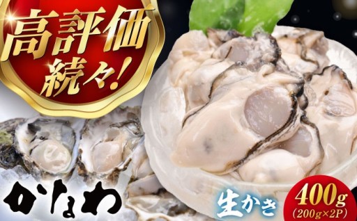 受付再開🎉生かきのむき身🦪