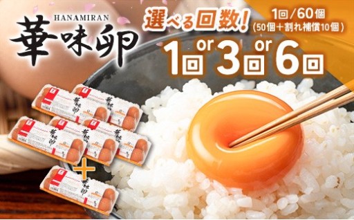 🥚📦高値の今こそ！家計にうれしい華味卵定期便