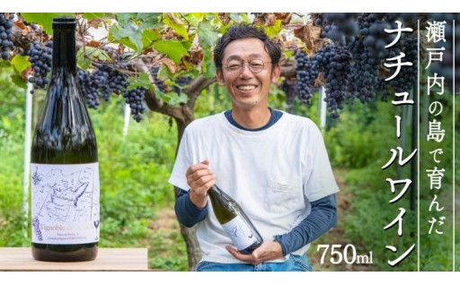 人の手を極力加えず自然の力で育てられたぶどう。テロワールにこだわったワインです。