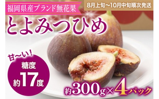 【🔔先行予約開始🔔】福岡県産ブランド無花果「とよみつひめ」(約300g×4パック)