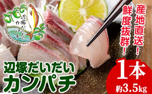 辺塚だいだいカンパチ(約3.5kg・1本)
