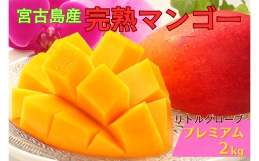 【プレミアム】宮古島産マンゴー2kg（LT006