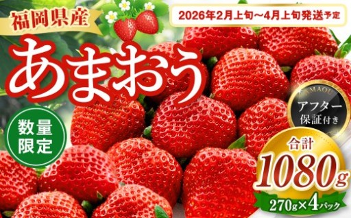 《3月31日まで》数量限定 福岡県産 あまおう 270g×4パック