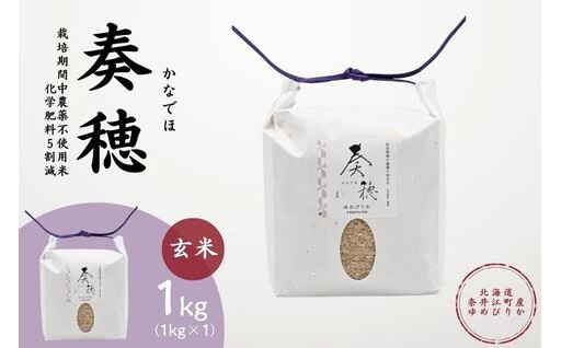 北海道奈井江町産「ゆめぴりか」