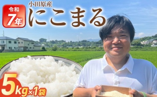 【期間限定・数量限定！】令和7年産　富水米　精米　5kg　にこまる
