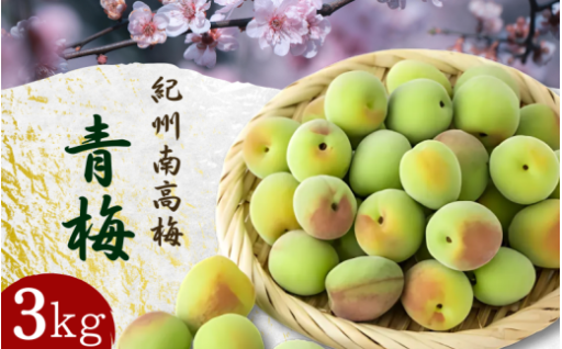 【先行予約】 青梅【紀州南高梅】 3kg（2026年5月～6月以降順次発送予定） 