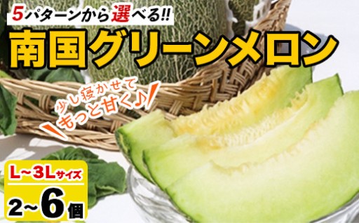 ＜内容量が選べる！＞鹿児島県産！南国グリーンメロン(L～3Lサイズ・2～6個)
