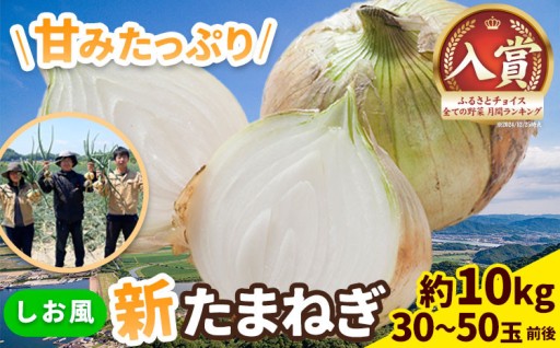 【しお風新たまねぎ】笠岡市 3月人気No.1返礼品のご紹介