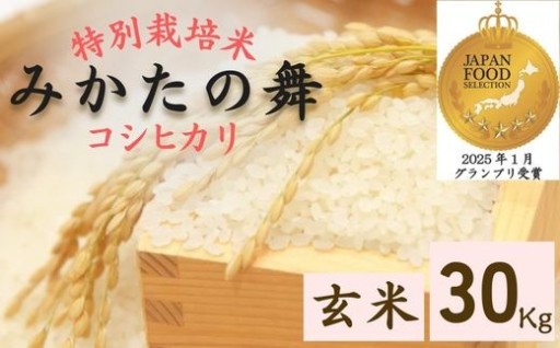 ジャパンフードセレクション グランプリのお米！