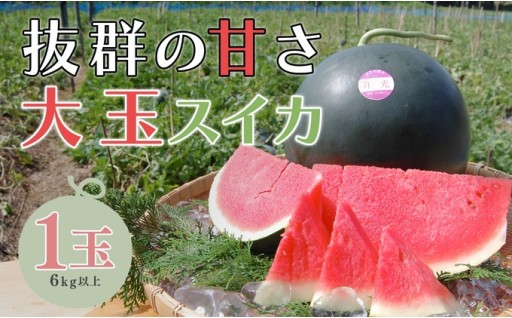 【先行受付開始】糖度13.5～15.5度！甘～いこだわりスイカ