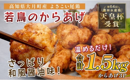 天皇杯受賞の「よさこい尾鶏」使用！子どもが大好きな唐揚げ
