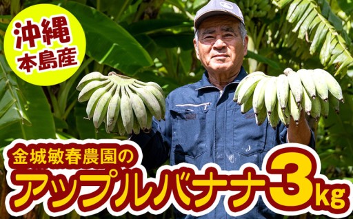 【沖縄本島産】金城敏春農園の「アップルバナナ」　3kg