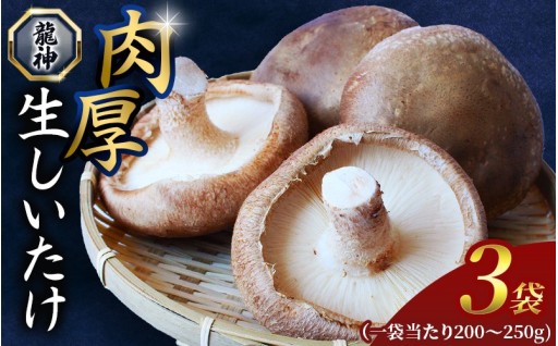 龍神マッシュの生しいたけ３袋セット