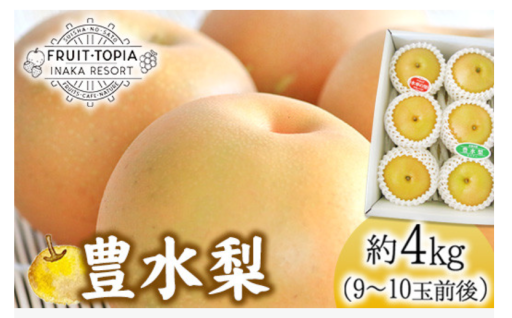 秋のフルーツを先取り！岡山県産・豊水梨